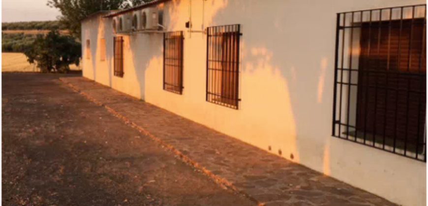 Finca de 100 hectáreas en Almagro ¡¡¡OPORTUNIDAD!!!