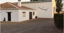 Finca de 100 hectáreas en Almagro ¡¡¡OPORTUNIDAD!!!