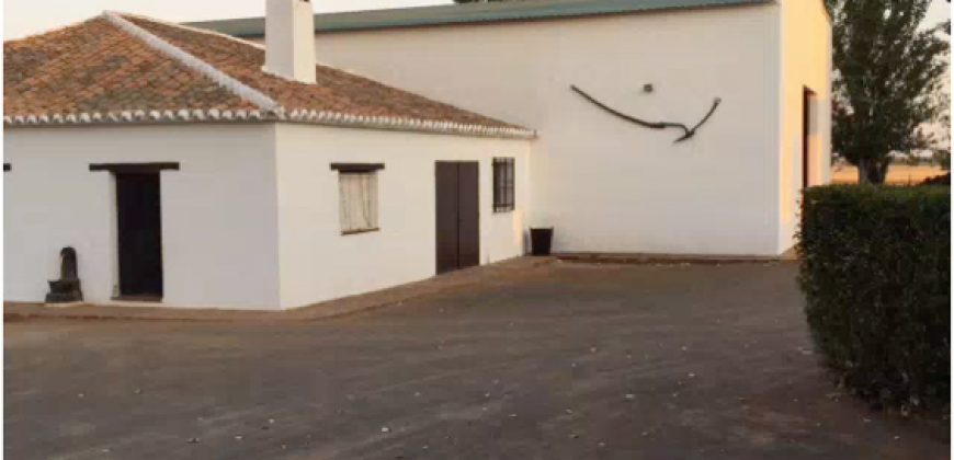 Finca de 100 hectáreas en Almagro ¡¡¡OPORTUNIDAD!!!