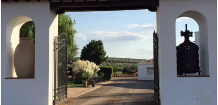 Finca de 100 hectáreas en Almagro ¡¡¡OPORTUNIDAD!!!