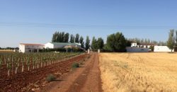 Finca de 100 hectáreas en Almagro ¡¡¡OPORTUNIDAD!!!