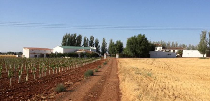 Finca de 100 hectáreas en Almagro ¡¡¡OPORTUNIDAD!!!