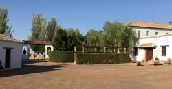 Finca de 100 hectáreas en Almagro ¡¡¡OPORTUNIDAD!!!