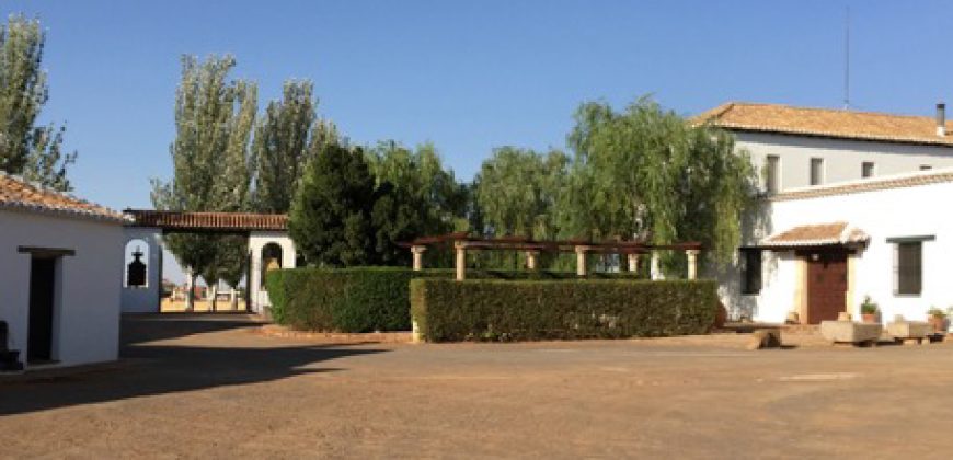 Finca de 100 hectáreas en Almagro ¡¡¡OPORTUNIDAD!!!