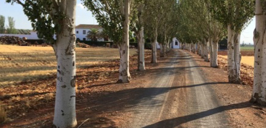 Finca de 100 hectáreas en Almagro ¡¡¡OPORTUNIDAD!!!