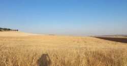 Terreno en venta en Poblete