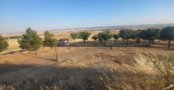 Terreno en venta en Poblete