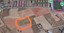 Terreno en venta en Miguelturra