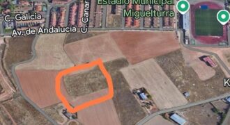 Terreno en venta en Miguelturra