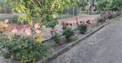 Chalet independiente en venta