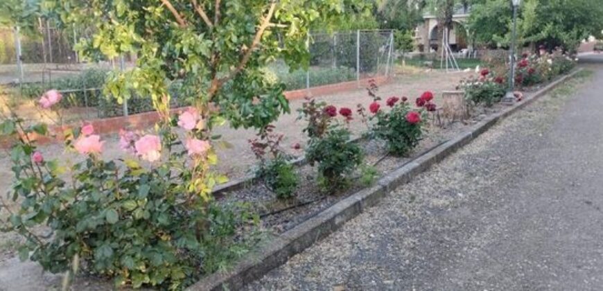 Chalet independiente en venta
