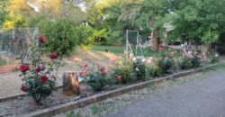 Chalet independiente en venta