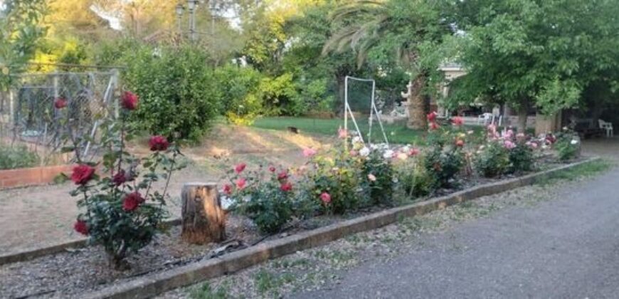 Chalet independiente en venta