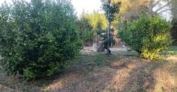 Chalet independiente en venta