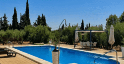 ¡Exclusivo! Chalet con olivar y posibilidad de segregación de parcela entre Ciudad Real y Miguelturra