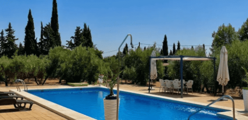 ¡Exclusivo! Chalet con olivar y posibilidad de segregación de parcela entre Ciudad Real y Miguelturra