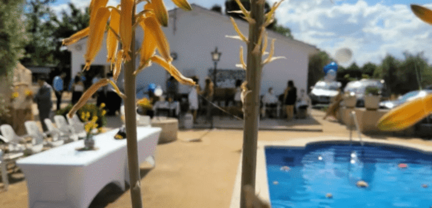 ¡Exclusivo! Chalet con olivar y posibilidad de segregación de parcela entre Ciudad Real y Miguelturra