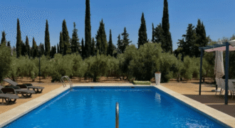 ¡Exclusivo! Chalet con olivar y posibilidad de segregación de parcela entre Ciudad Real y Miguelturra