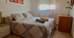 ¡Exclusivo! Chalet con olivar y posibilidad de segregación de parcela entre Ciudad Real y Miguelturra
