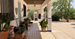 ¡Exclusivo! Chalet con olivar y posibilidad de segregación de parcela entre Ciudad Real y Miguelturra