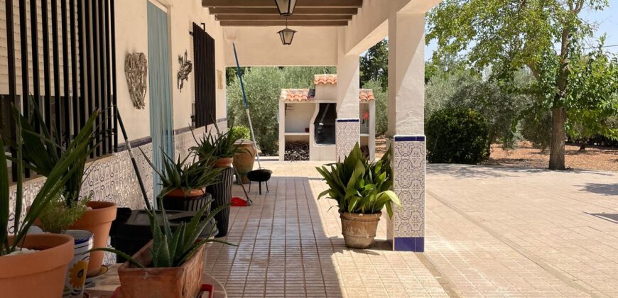 ¡Exclusivo! Chalet con olivar y posibilidad de segregación de parcela entre Ciudad Real y Miguelturra