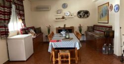 ¡Exclusivo! Chalet con olivar y posibilidad de segregación de parcela entre Ciudad Real y Miguelturra