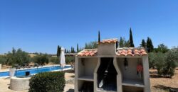 ¡Exclusivo! Chalet con olivar y posibilidad de segregación de parcela entre Ciudad Real y Miguelturra