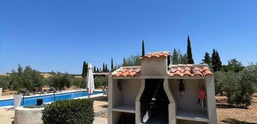 ¡Exclusivo! Chalet con olivar y posibilidad de segregación de parcela entre Ciudad Real y Miguelturra