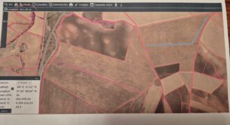 Inversión Agrícola de Primer Nivel: 80 Hectáreas de Regadío en el Corazón de Ciudad Real