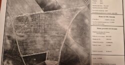 Inversión Agrícola de Primer Nivel: 80 Hectáreas de Regadío en el Corazón de Ciudad Real