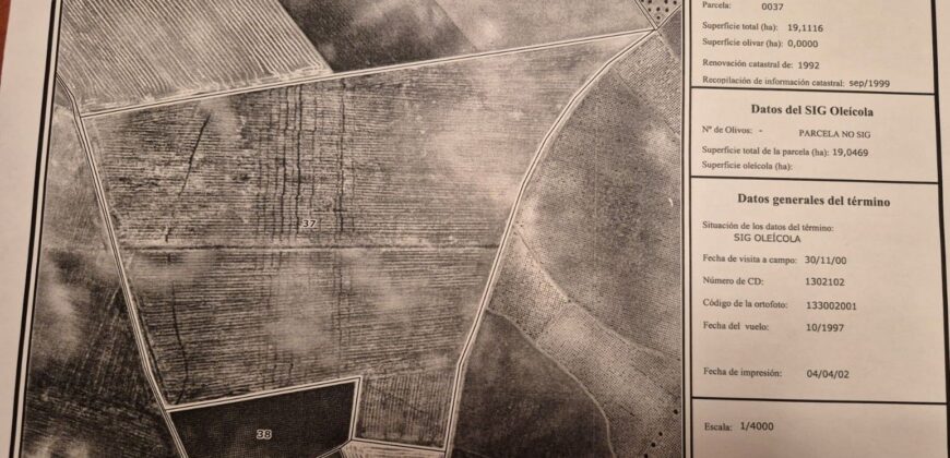 Inversión Agrícola de Primer Nivel: 80 Hectáreas de Regadío en el Corazón de Ciudad Real