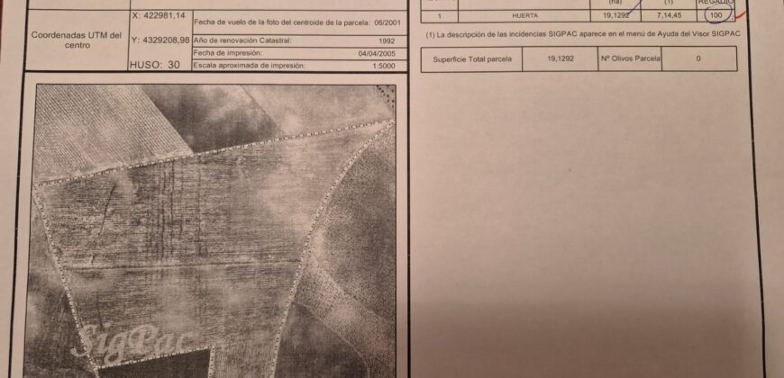Inversión Agrícola de Primer Nivel: 80 Hectáreas de Regadío en el Corazón de Ciudad Real