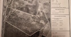 Inversión Agrícola de Primer Nivel: 80 Hectáreas de Regadío en el Corazón de Ciudad Real