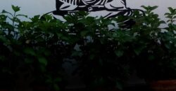 Radiante piso de con patio privado y garaje: El Perchel, Ciudad Real
